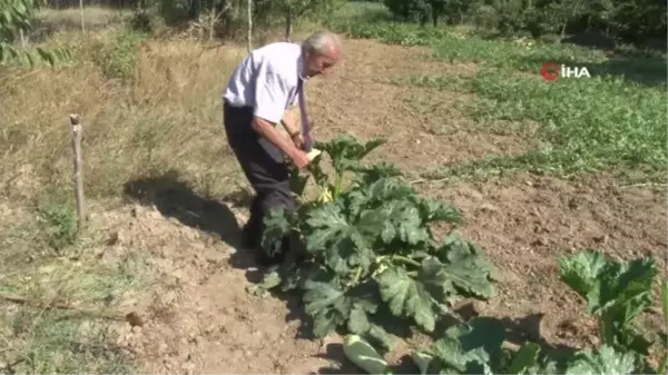 25 yıldır elektriksiz yaşadı, İHA'nın haberiyle ekipler harekete geçti