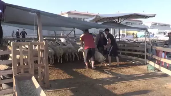 Niğde'de hayvan pazarında bayramda da hareketlilik devam ediyor