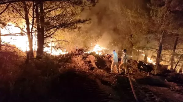 Son dakika: Datça'daki orman yangınında çalışmalar gece de devam ediyor