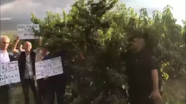 Tokatlı Meyve Üreticileri Fabrikanın Belirlediği Taban Fiyatı Protesto Etti: 