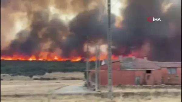 Avrupa'nın güneyi sıcak hava dalgasına teslimYangınlarda 100 bin hektardan fazla alan küle döndüİngiltere'de sıcaklıkların ilk kez 40 dereceyi...