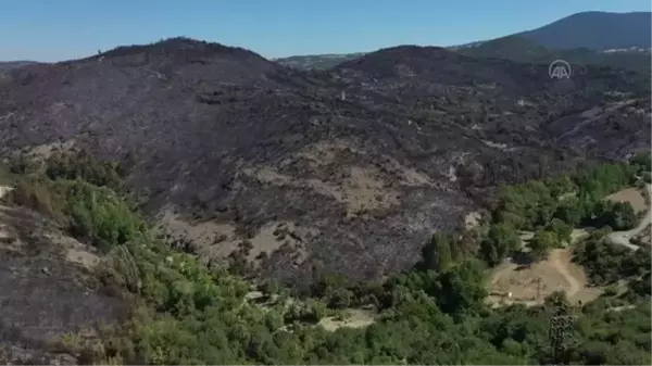 Son dakika haberleri | BALIKESİR - Kepsut ilçesindeki orman yangınında soğutma çalışmaları sürüyor