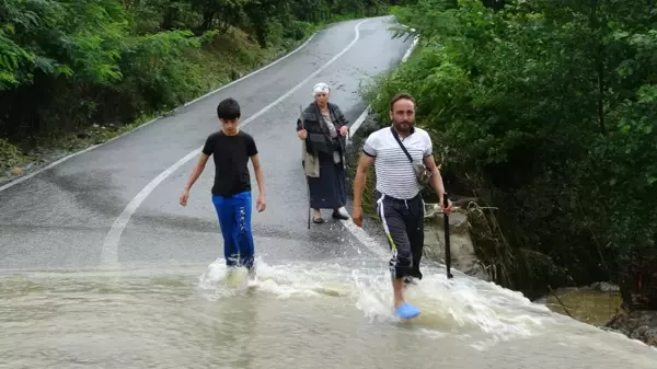 Ordu'da heyelan sonucu 4 ev hasar aldı, bir köprü uçtu, heyelan yollara zarar verdi