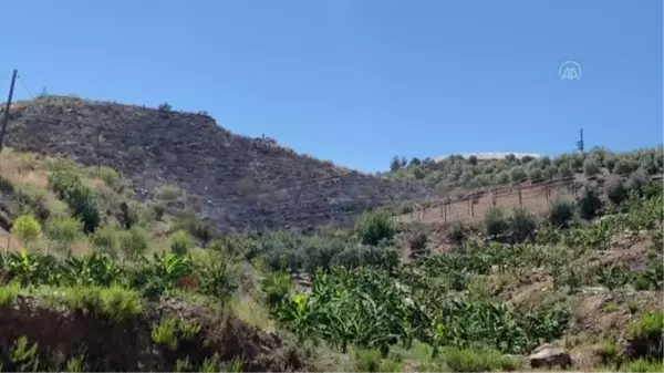 Badem bahçesinde çıkan yangın söndürüldü