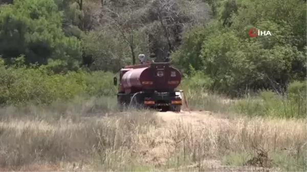 Bölgedeki vatandaşlar da alarma geçti... Çamlık alanda çıkan yangın havadan ve karadan müdahale ile söndürüldü