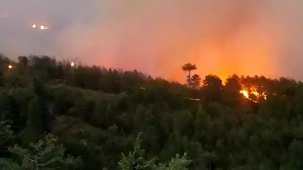 Emet'te orman yangını büyüyerek devam ediyor