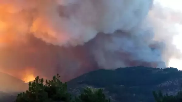 Son dakika haberi... Orman yangınına müdahale ediliyor (2)