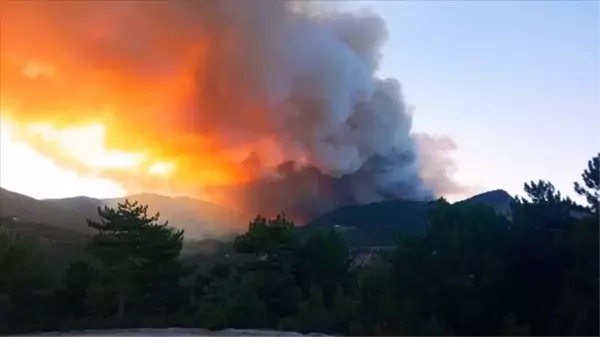 Kütahya ve Manisa'da ortalığı küle döndüren orman yangını kontrol altına alındı