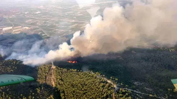 Son dakika haberleri... Söke'de orman yangını: 7 helikopter ve 4 uçakla müdahale devam ediyor