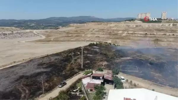 Yanmak üzere olan kaplumbağa böyle kurtarıldı