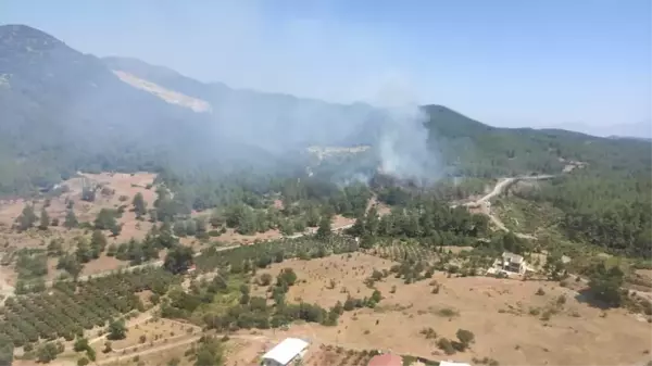 İzmir'de çıkan orman yangını kontrol altına alındı