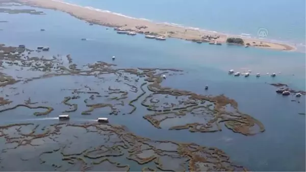 Labirenti andıran Dalyan sazlıklarında yolculuk