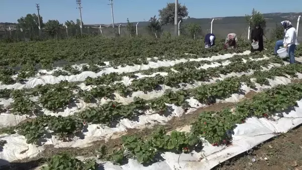 Eskişehir haberi | Atalantekkeli Kadınlar, Tepebaşı Belediyesi'nin Desteğiyle Üretiyor