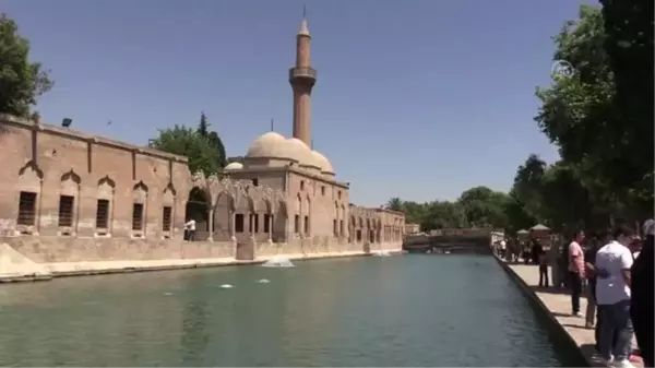 Şanlıurfa gündem haberi | ŞANLIURFA - Sıcak hava bunaltıyor