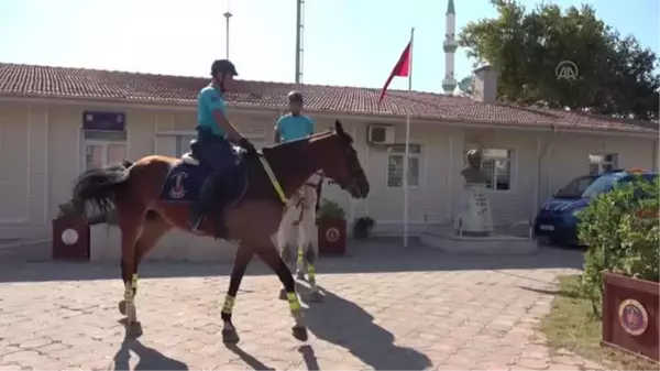 Son dakika haberi: BALIKESİR - Ayvalık'ın orman ve plajları jandarmanın atlı timine emanet