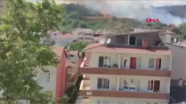 Tekirdağ haber... TEKİRDAĞ'DA ORMAN YANGINI BÜYÜMEDEN SÖNDÜRÜLDÜ