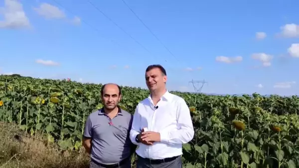 Samsun haber! CHP Samsun İl Başkanı Fatih Türkel: 