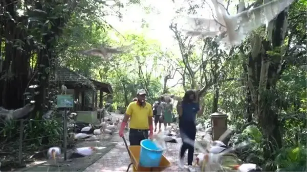 Malezya'daki kuş cenneti: Kuala Lumpur Kuş Parkı