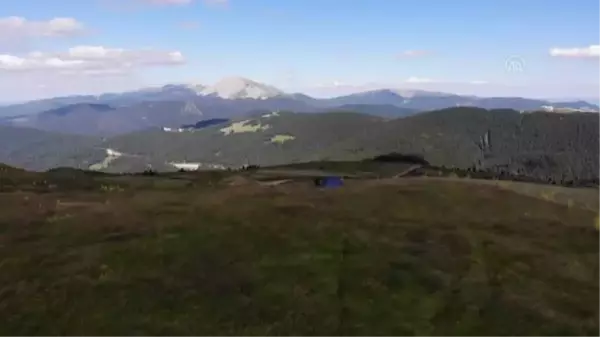 Kastamonu gündem haberi | KASTAMONU - Ilgaz Dağı ağustosta ilkbaharı yaşıyor