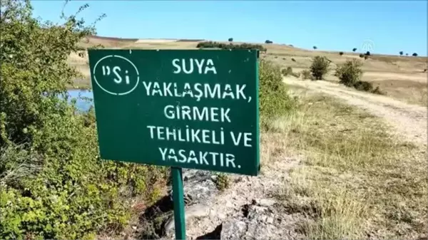 Son dakika haberleri | Sulama göletinin vana kuyusuna giren 3 kardeş metan gazından zehirlenerek öldü