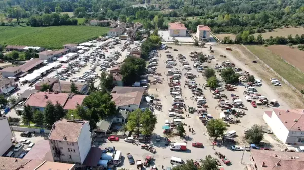 Kastamonu haber! Dünyaca ünlü Taşköprü sarımsağında kıyasıya pazarlıklar yaşanıyor