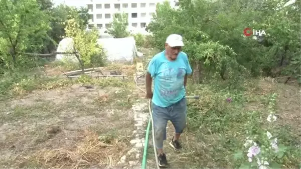 Emekliliğin tadını bahçedeki bitkilerine bakarak çıkarıyor