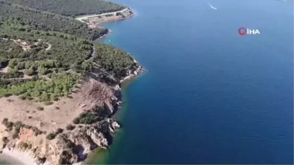 Büyükada'da 'dalyan' dolandırıcılığı