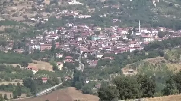 Birlikte yaşadığı kişi tarafından silahla vurulan kadın ile oğlu öldü