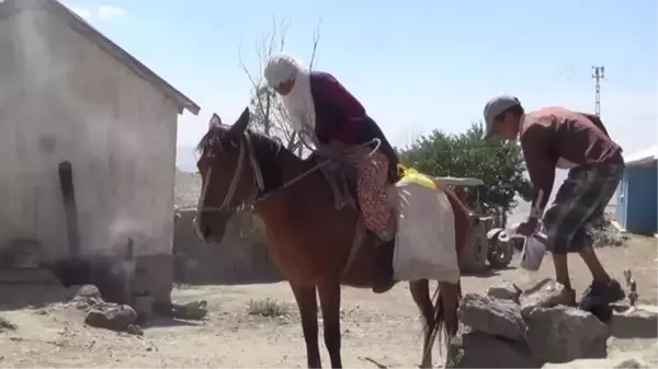 Berivanlar hayvanlarını sağmak için at sırtında kilometrelerce yol kat ediyor