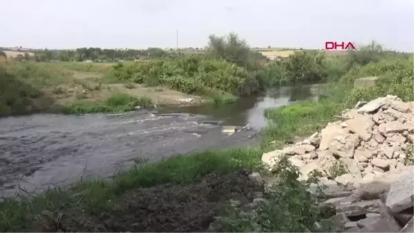 ERGENE NEHRİ'NİN SU KALİTESİ KİMYASAL OKSİTTE 'AZ KİRLENMİŞ' ÇIKTI