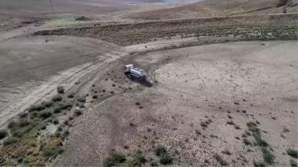 Yayla dönüşü susuzluktan bitkin düşen koyunlara tankerlerle su taşındı