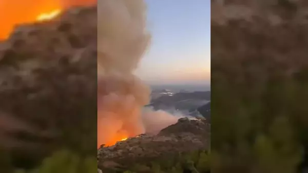 Son dakika haberi... Mersin Antalya Karayolu Yangın Nedeniyle Ulaşıma Kapatıldı