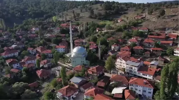 BALIKESİR - Ekim alanı artan badalan fasulyesi 4 mahallenin geçim kaynağı oldu