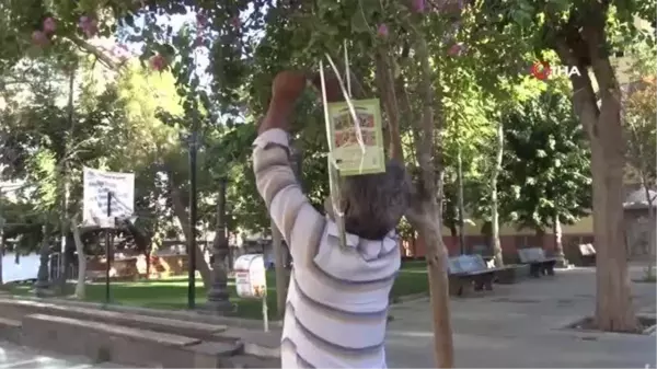 Şanlıurfa haber... Siverek'te ağaçlar kitap açtı