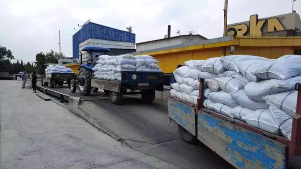 Manisa haberleri... TMO, Turgutlu'da kuru üzüm alımına başladı