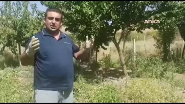 Kamu Sağlık-Sen Genel Başkanı Ümit Karataş, Ata Tohumundan Ürettiği Domateslerin Tohumunu Üreticilere Ücretsiz Dağıtacak