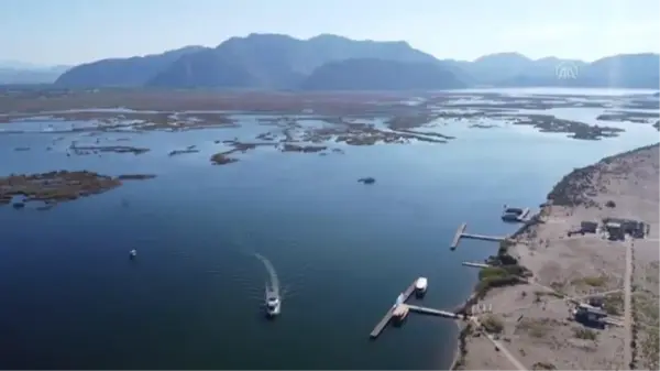 Dünyaca ünlü Dalyan İztuzu plajında deniz dibi temizliği