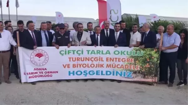 Narenciye alanlarına faydalı böcek salındı