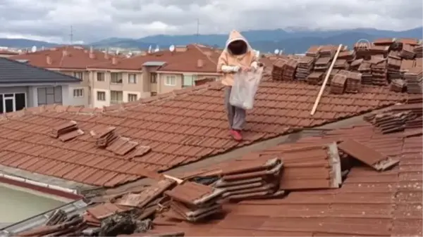 Okulun tadilat yapılan çatısındaki arı yuvaları temizlendi