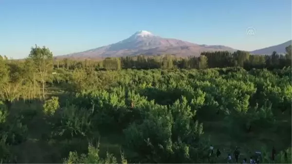 Doğa kampı yapan ilkokul öğrencileri 