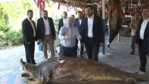 Bağcılar Belediye Başkanı, Türkiye Deniz Canlıları Müzesi'ni ziyaret etti