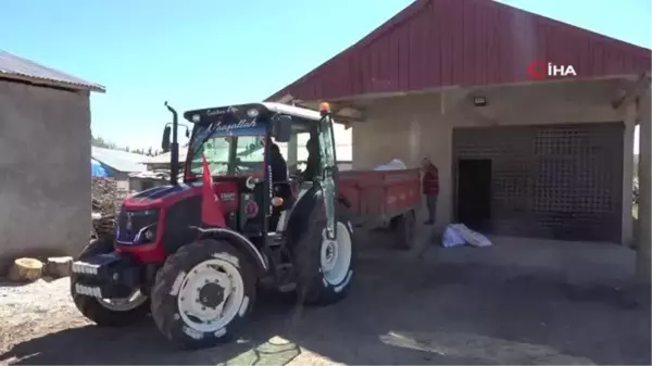 Tohumluk buğday taneleri, yeni rekor için hazırlanıyor