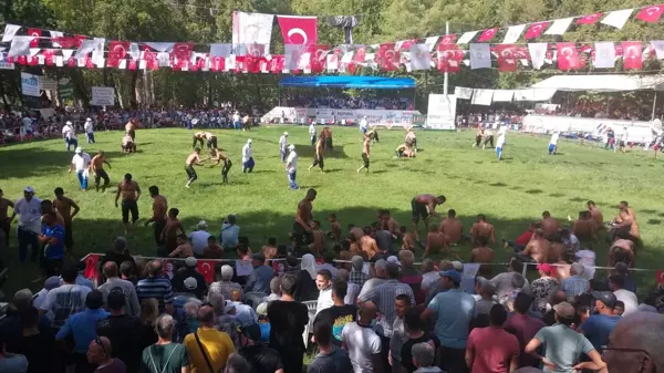 Muğla haberi... Köyceğiz Geleneksel Yağlı Güreşleri'nde, başpehlivan İsmail Balaban oldu