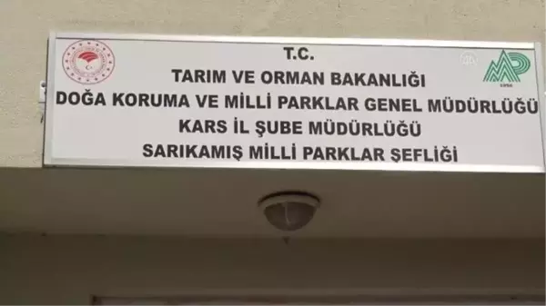 Son dakika haberleri! Çocukların yaralı bulduğu kerkenez tedaviye alındı