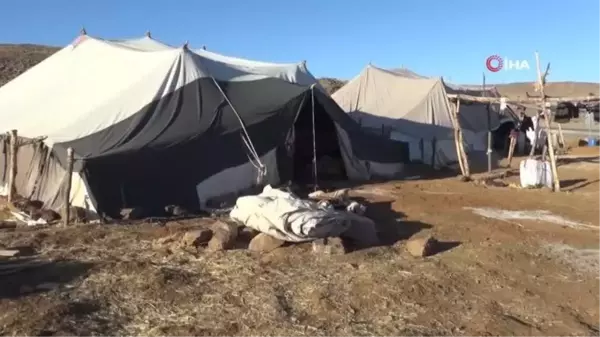 Muş haberi... Muş'taki göçerler sıcak bölgelere göç etmeye başladı