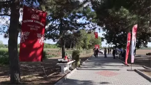 Edirne haberleri: Edirne kırmızısının elde edildiği bitki hasat edildi