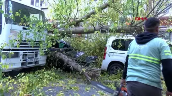 SARIYER'DE KAMYONUN TAKILDIĞI AĞAÇ ARAÇLARIN ÜZERİNE DEVRİLDİ