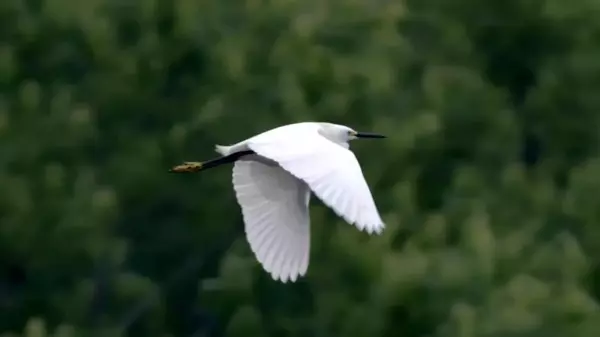 Çin'in Doğusunda Yer Alan Huzhou Şehrinde İnsan ile Doğa Arasındaki Uyumlu Birliktelik