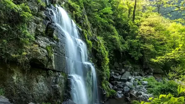 Çin'in Badagongshan Ulusal Doğa Koruma Alanı'nın Manzarası Büyülüyor