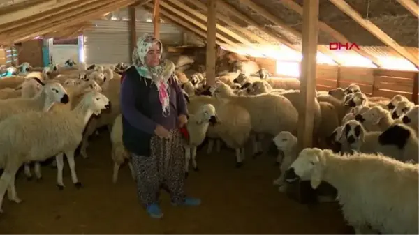 BORÇLA ALDIKLARI EVLERİ YIKILINCA, AHIRI EV YAPTILAR